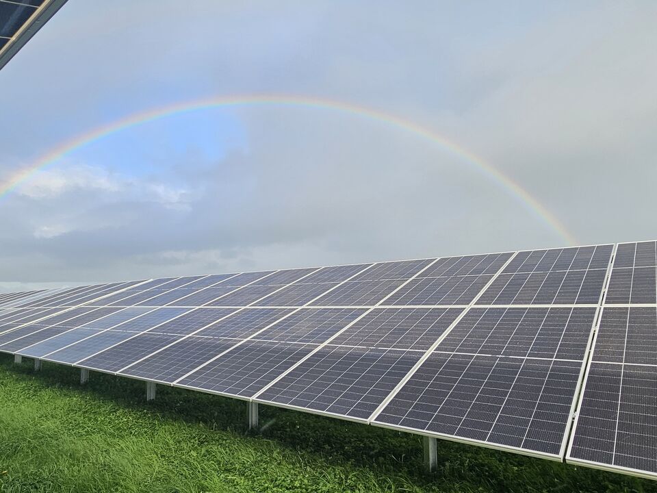Connecting over 47,000 solar panels at Taiohi Solar Farm, Rangiriri